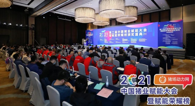 正康生?Plus榮獲“2021年度匠心飼料添加劑”！