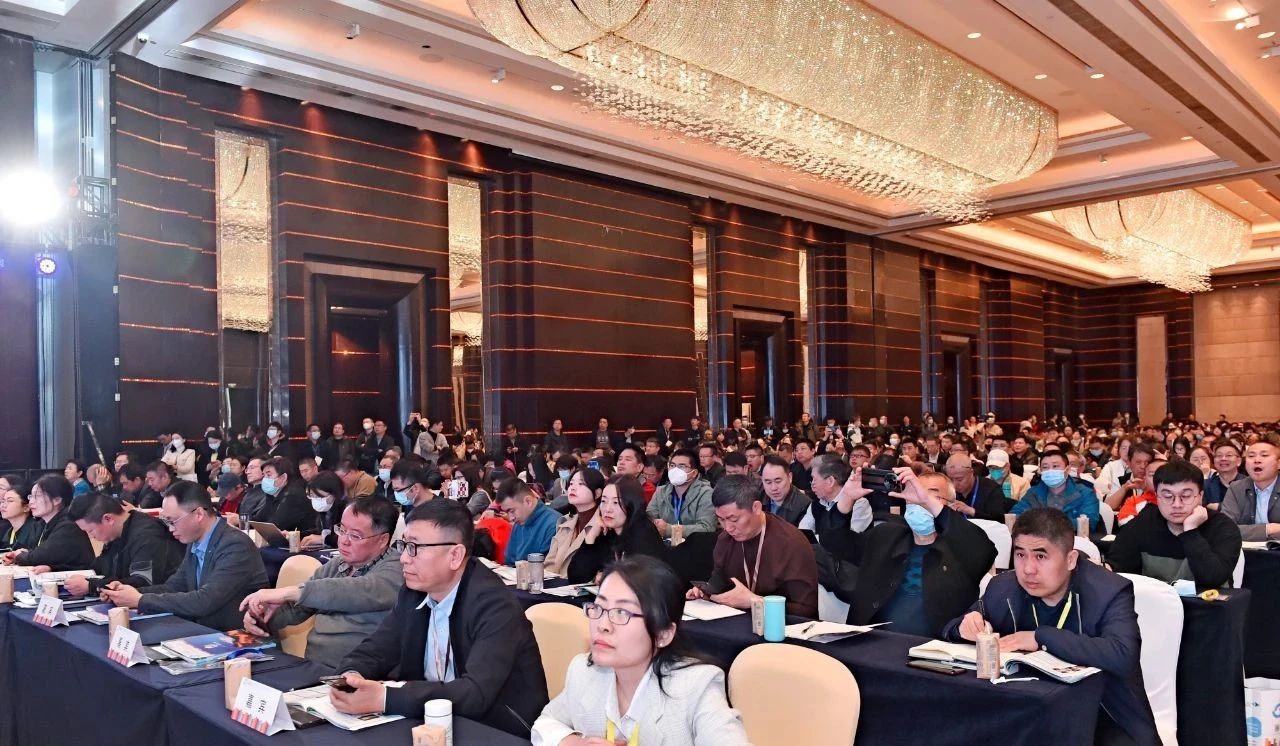 千人聚首盛況再現！中國雞的原籍菌遭瘋搶！